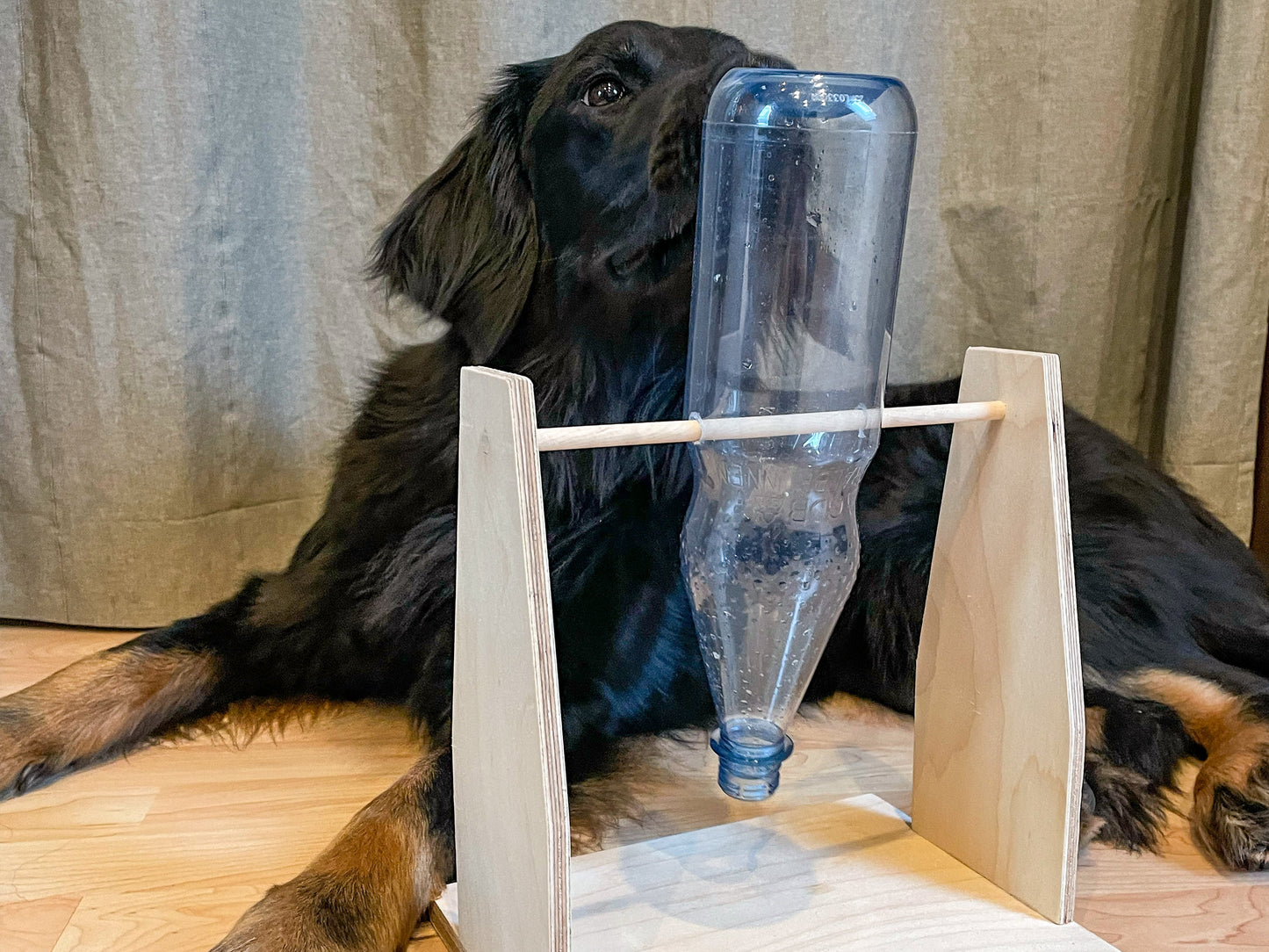 Handgefertigtes Hunde-Futterspielzeug aus Holz – Intelligenzspiel mit Wunschname