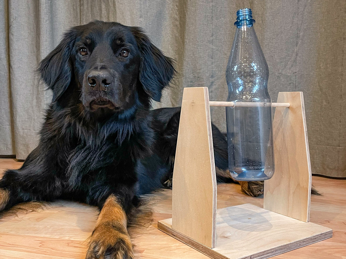Handgefertigtes Hunde-Futterspielzeug aus Holz – Intelligenzspiel mit Wunschname